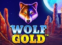 Wolf G Hyper Casino Game