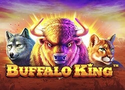 Buffalo King Hyper Casino Slot
