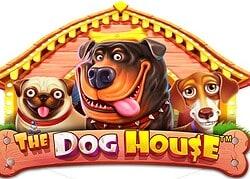 Dog House Hyper Casino Game